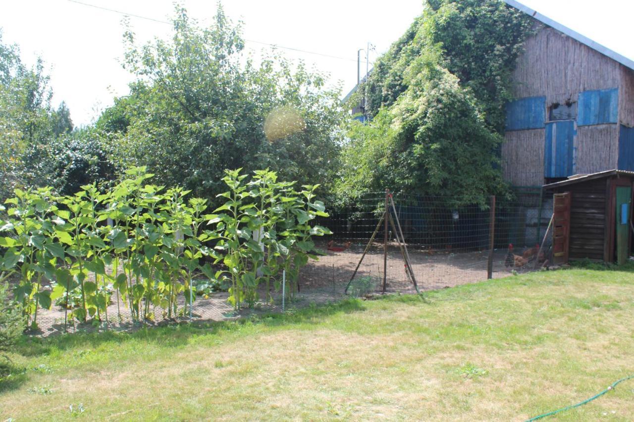 Agroturystyka Kociewiak Szteklin Exteriér fotografie