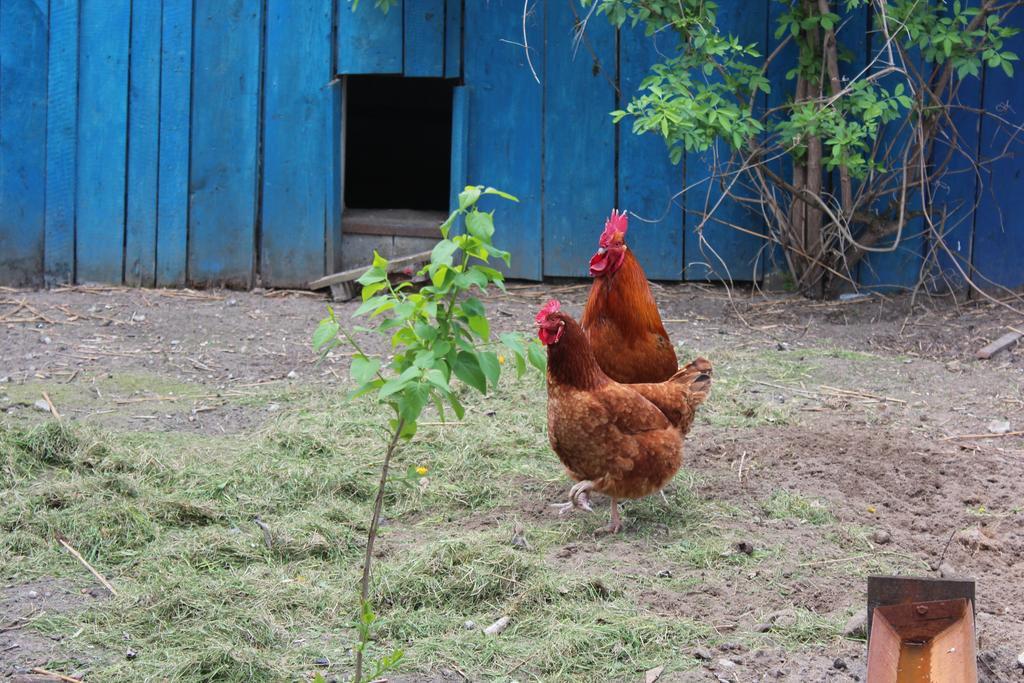 Agroturystyka Kociewiak Szteklin Exteriér fotografie